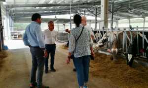 WhatsApp Image 2021 08 02 at 11.36.14