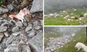 WhatsApp Image 2021 08 05 at 11.44.431