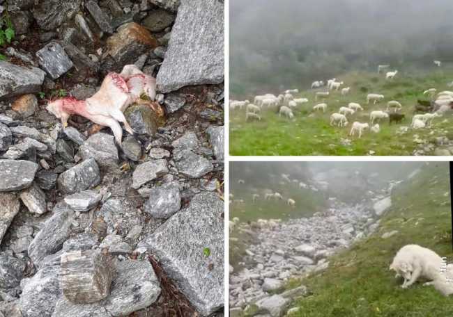 WhatsApp Image 2021 08 05 at 11.44.431