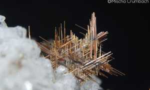 WhatsApp Image 2021 08 31 at 14.22.00