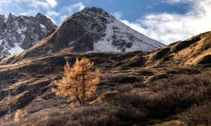 WhatsApp Image 2021 10 27 at 14.49.453