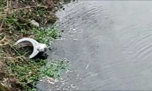 WhatsApp Image 2022 01 08 at 09.02.511