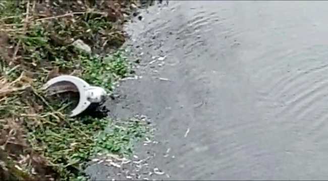 WhatsApp Image 2022 01 08 at 09.02.511