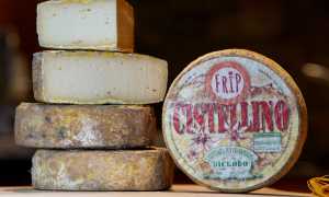 WhatsApp Image 2022 04 08 at 08.13.221