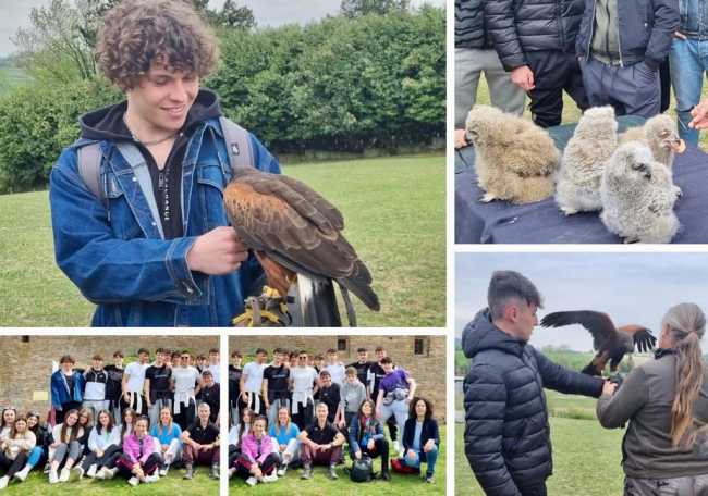 WhatsApp Image 2022 04 27 at 14.27.31