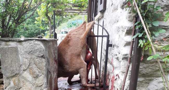 WhatsApp Image 2022 05 31 at 11.52.22