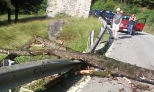 WhatsApp Image 2022 06 23 at 09.14.11