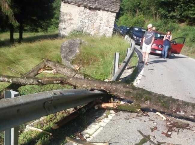 WhatsApp Image 2022 06 23 at 09.14.11