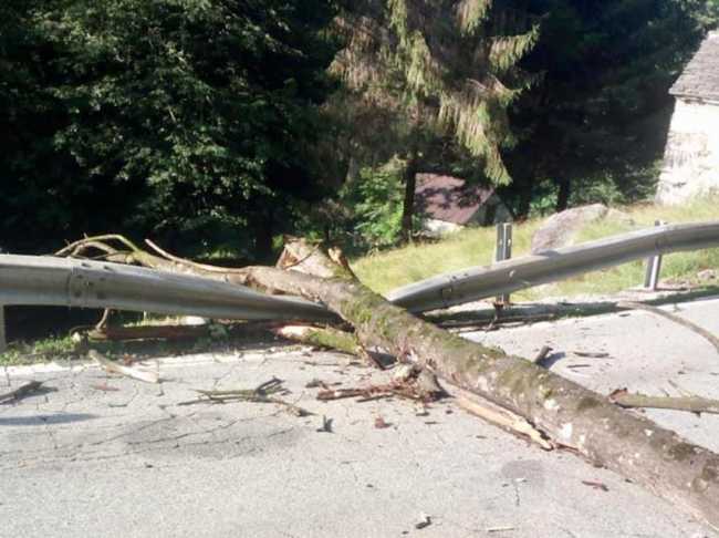 WhatsApp Image 2022 06 23 at 10.15.44