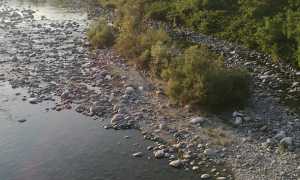 WhatsApp Image 2022 07 22 at 08.33.30