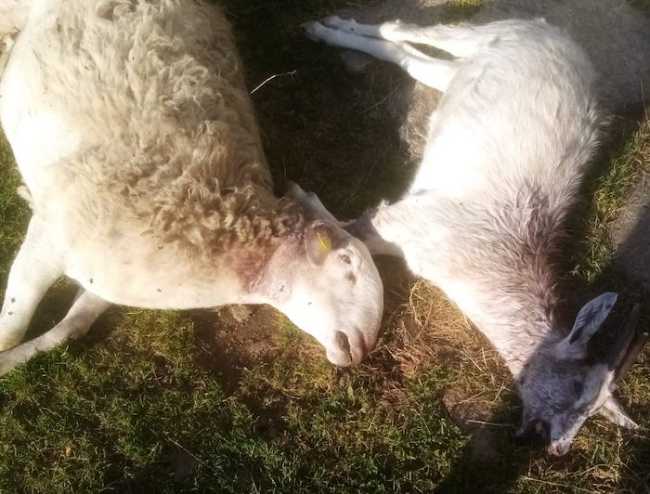 WhatsApp Image 2022 08 04 at 11.02.17 1