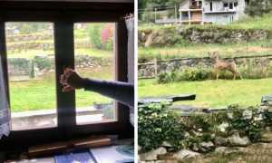 WhatsApp Image 2022 09 29 at 13.36.00