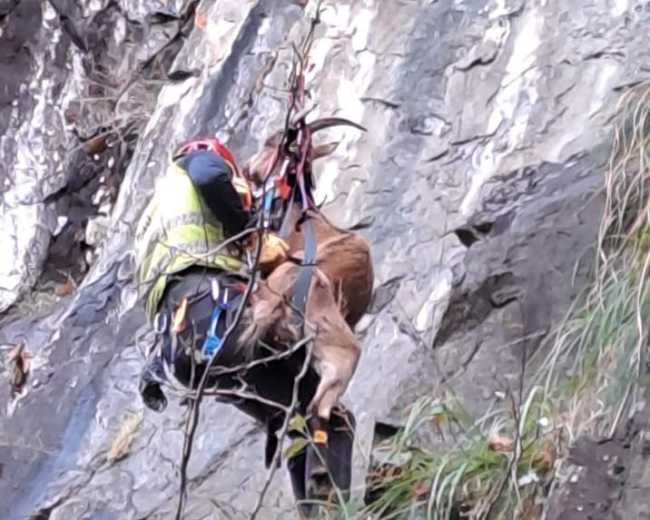 WhatsApp Image 2022 11 02 at 09.10.33