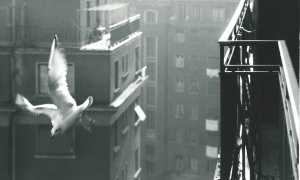 WhatsApp Image 2022 11 28 at 18.49.10