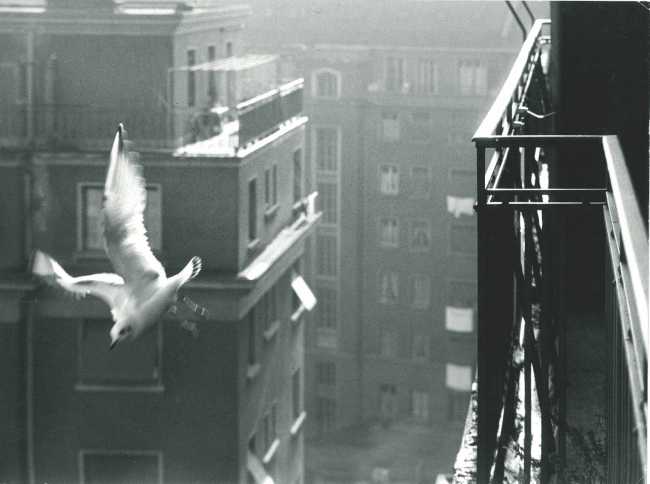 WhatsApp Image 2022 11 28 at 18.49.10