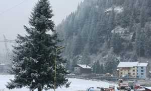 WhatsApp Image 2022 12 03 at 10.07.23