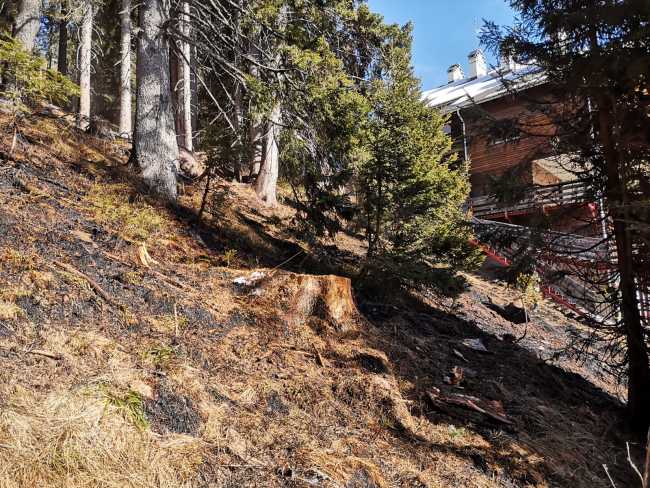 WhatsApp Image 2023 02 20 at 16.19.30