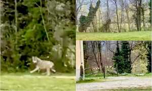 WhatsApp Image 2023 03 31 at 09.47.10