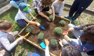 WhatsApp Image 2023 05 06 at 11.43.39