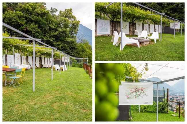 WhatsApp Image 2023 07 12 at 09.29.261