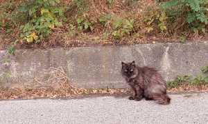 WhatsApp Image 2023 08 14 at 22.10.391