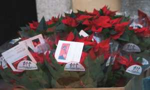 WhatsApp Image 2023 11 10 at 13.49.07