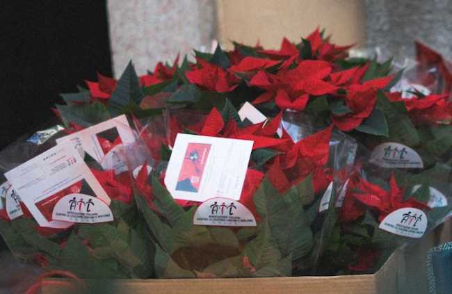 WhatsApp Image 2023 11 10 at 13.49.07