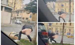 WhatsApp Image 2024 02 26 at 11.25.39