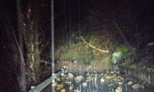 WhatsApp Image 2024 03 04 at 08.49.04