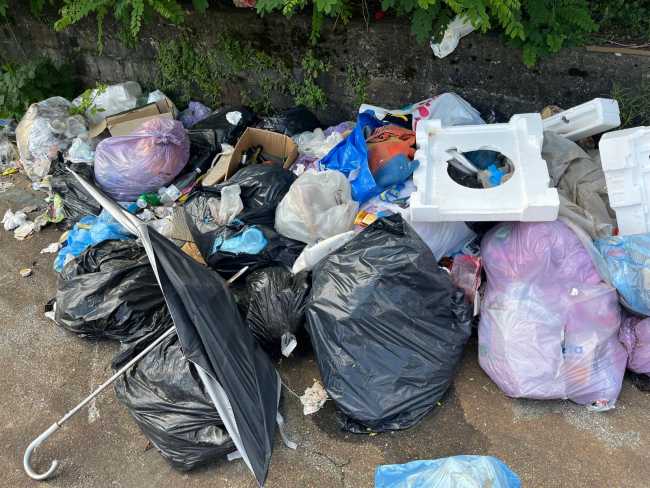 WhatsApp Image 2024 06 26 at 15.49.55