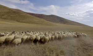 WhatsApp Image 2024 08 29 at 12.13.08