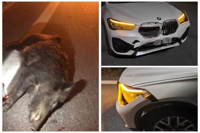 WhatsApp Image 2024 10 12 at 09.41.321