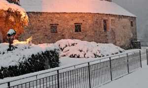 WhatsApp Image 2024 11 25 at 11.52.05