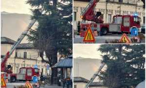 WhatsApp Image 2024 12 03 at 15.52.43