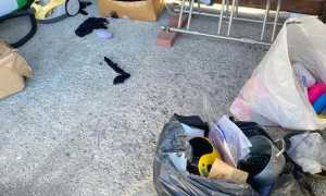 WhatsApp Image 2025 01 14 at 11.18.03