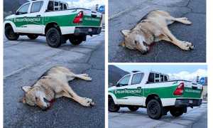 WhatsApp Image 2025 01 31 at 07.57.23