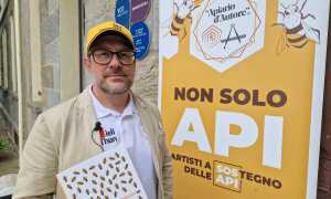 WhatsApp Image 2025 05 10 at 15.23.47