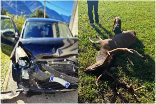 WhatsApp Image 2025 09 29 at 16.23.301