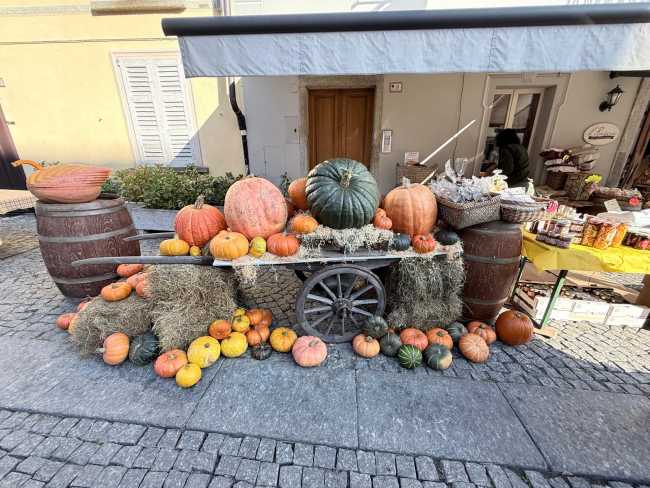 WhatsApp Image 2025 10 18 at 17.16.30