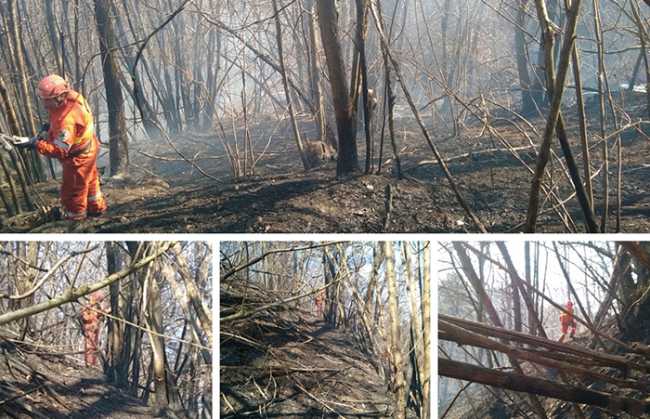 aib mix biella incendio bosco