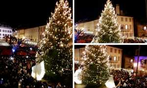 albero mercatini vigezzo 22