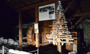 albero pesta macugnaga