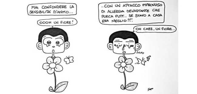 allergie sapo 22 05 2017