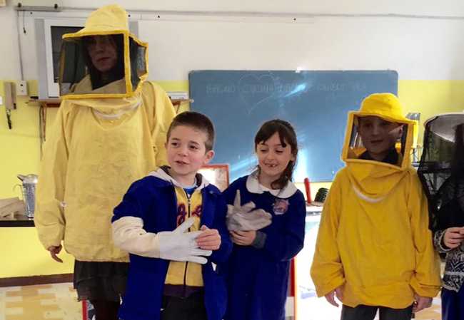 api bambini milani velli