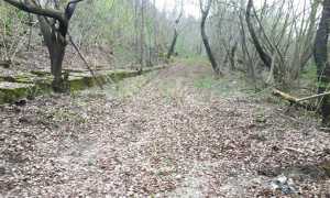 area discarica pulita crevola 18