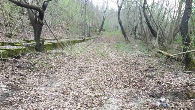 area discarica pulita crevola 18