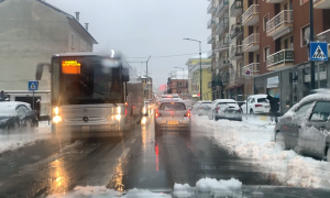 autobus neve domo