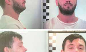 b arrestati operazione green