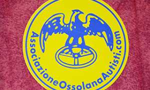 b associazione autisti