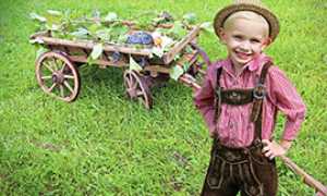 b bambino prato frutta